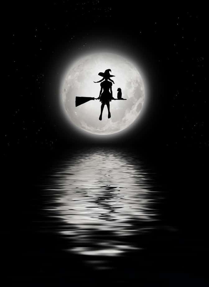 Witch On A Broom: