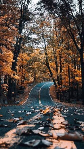 Spooky Autumn Road: