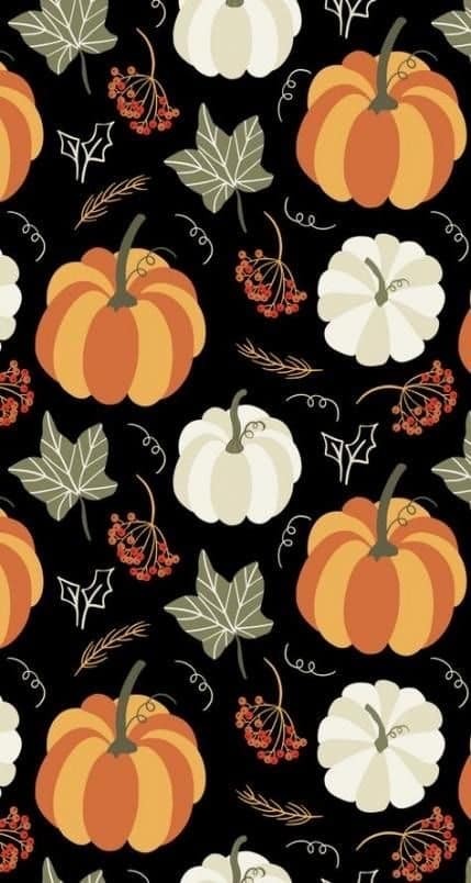 Pumpkins & Gourds: