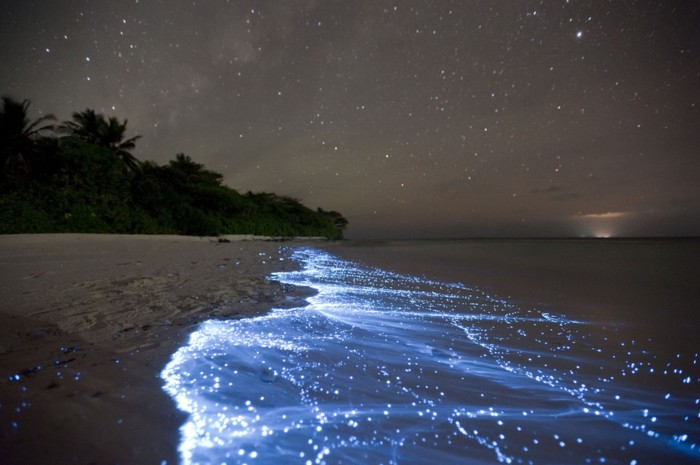 Les couleurs de la nuit merveilleuse