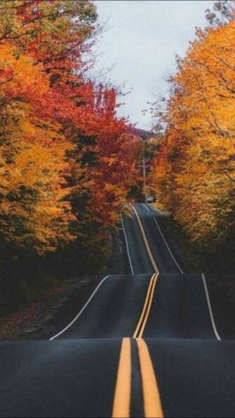 Winding Fall Road: