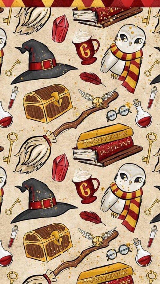 Harry Potter (Gryffindor):