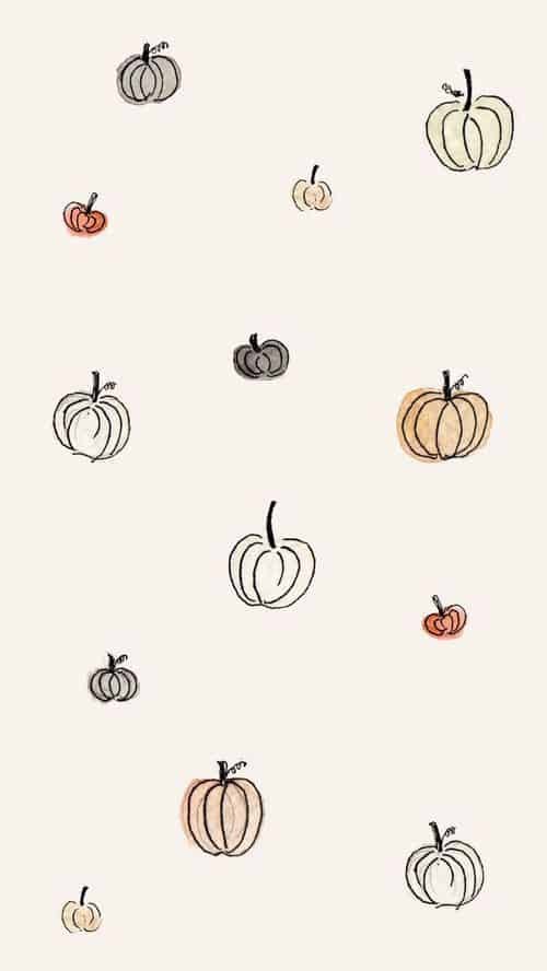 Colorful Pumpkins: