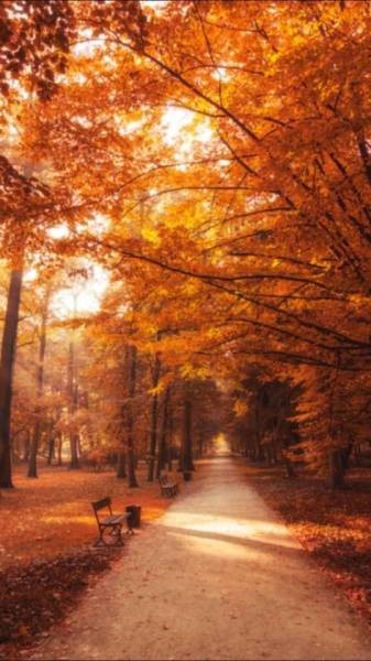 Fall Path: